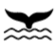Avistamiento de ballenas